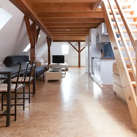 Готель Swiss Star Sihlfeld 3*